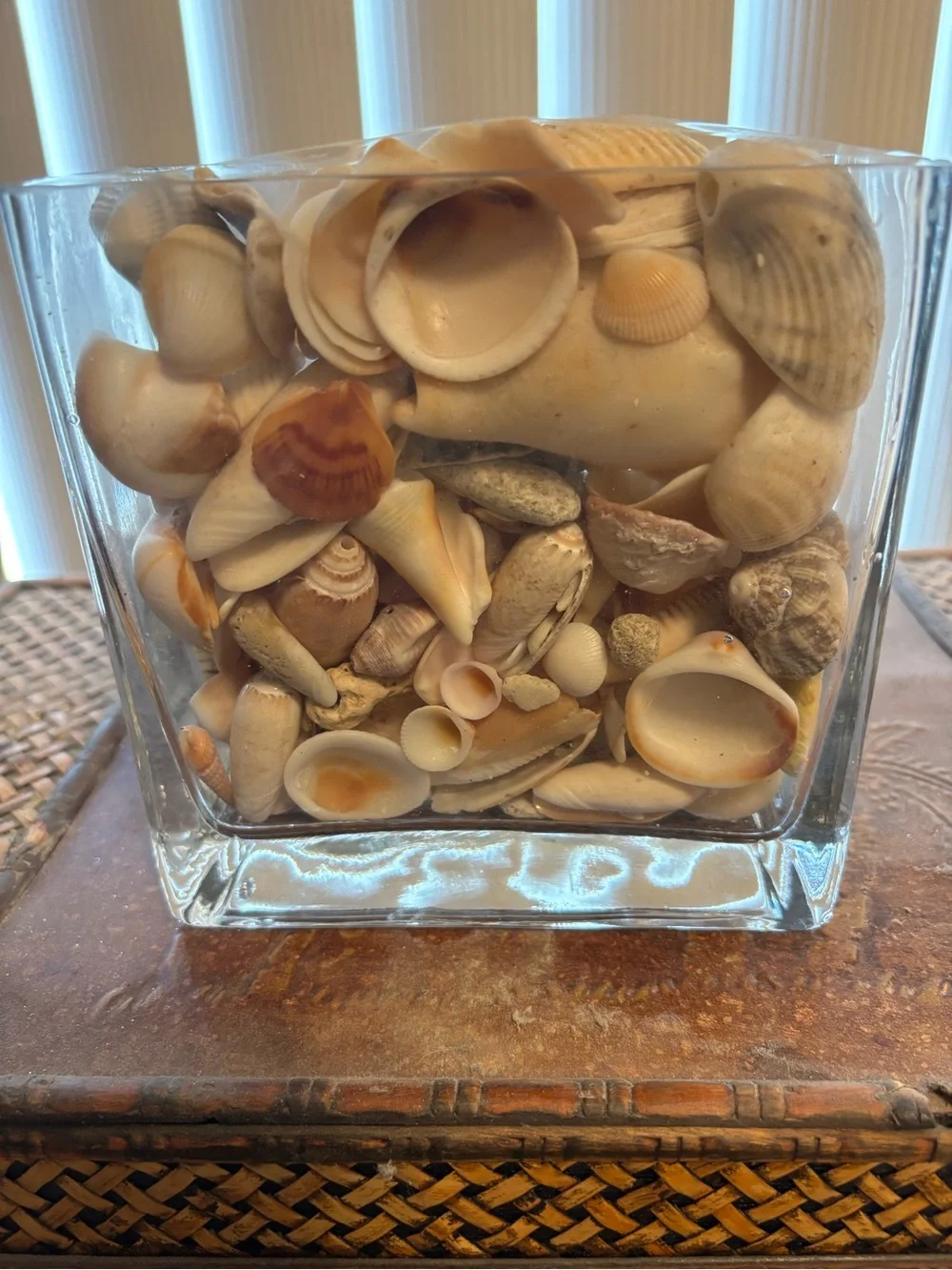 SEASHELLS IN A HEAVY GLASS SQUARE VASE EUC BEACH SHORE DECOR